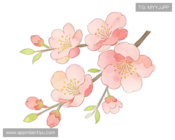 ued体育直播最新功能介绍，提升你的观看体验和互动参与感的实用指南