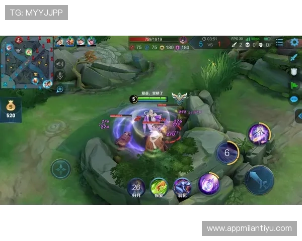 博鱼官网官网游戏攻略大全，提升你的游戏技巧与胜率